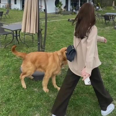 他不是我爸爸
